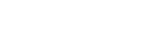 Picaso Designer X Pro logo